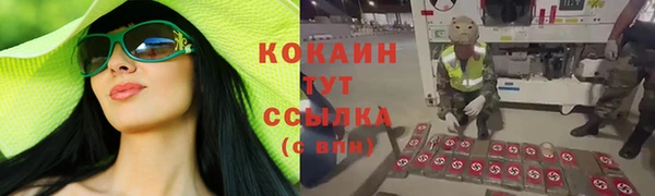 круглые Алексеевка