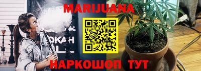 mdpv Гатчина
