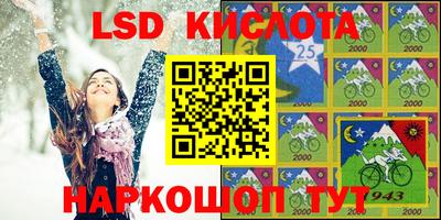 mdpv Гатчина
