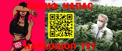 mdpv Гатчина