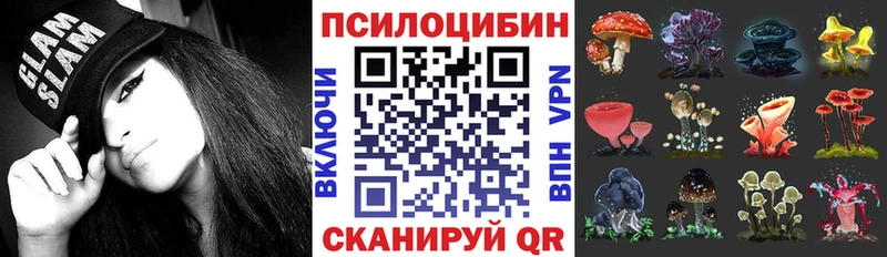 Галлюциногенные грибы мицелий  наркотики  Мытищи 