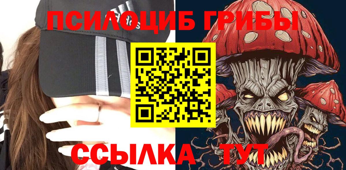 Мытищи  купить наркоту  Вход с VPN  Псилоцибиновые грибы Cubensis 