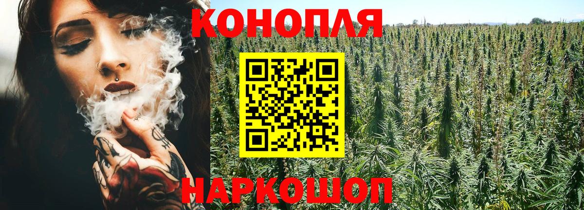 Канабис планчик Мытищи